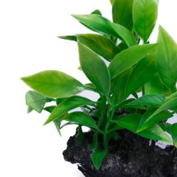 Dekoracja sztuczna roślina do akwarium terrarium na kamieniu