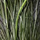 Sztuczna trawa w doniczce MISKANT chiński zielono-biały 100 cm