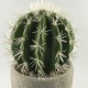 Sztuczna roślina sztuczny kaktus w doniczce jak prawdziwy h35 cm