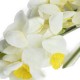 Sztuczne narcyzy żonkile białe / sztuczne kwiaty wielkanocne