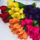 sztuczne tulipany / viktoria sylwia aptacy