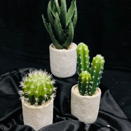 Sztuczna roślina sztuczny kaktus w doniczce jak prawdziwy h35 cm