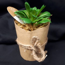 Kapusta sztuczna roślina w papierowej doniczce eko dekoracja domu