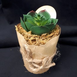Kaktus sztuczna roślina w papierowej doniczce eko dekoracja domu