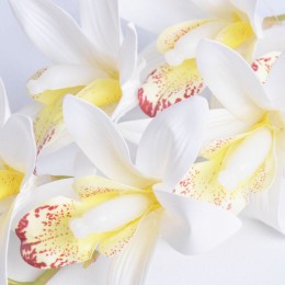 Dziki storczyk biały gałązka kwiat sztuczny kwiaty storczyki 85 cm