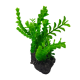 Moczarka sztuczna roślina do akwarium terrarium na kamieniu