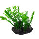Moczarka sztuczna roślina do akwarium terrarium na kamieniu