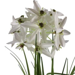 Sztuczna trawa w doniczce z białym kwiatem 68 cm / sztuczna roślina
