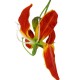 Glorioza sztuczna / gloriosa sztuczny kwiat gałązka