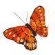 Dekoracyjny motyl motyle na klipsie / motylki ozdoby florystyczne