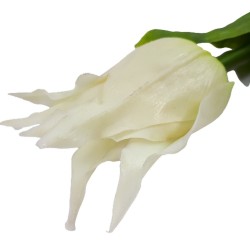 Sztuczny tulipan papuzi biały 42 cm / tulipan gumowy