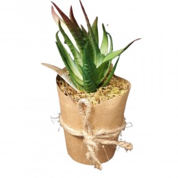 Aloes kaktus sztuczna roślina w papierowej doniczce eko dekoracja domu