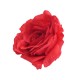 Róża główka wyrobowa czerwona / sztuczne róże główki wyrobowe
