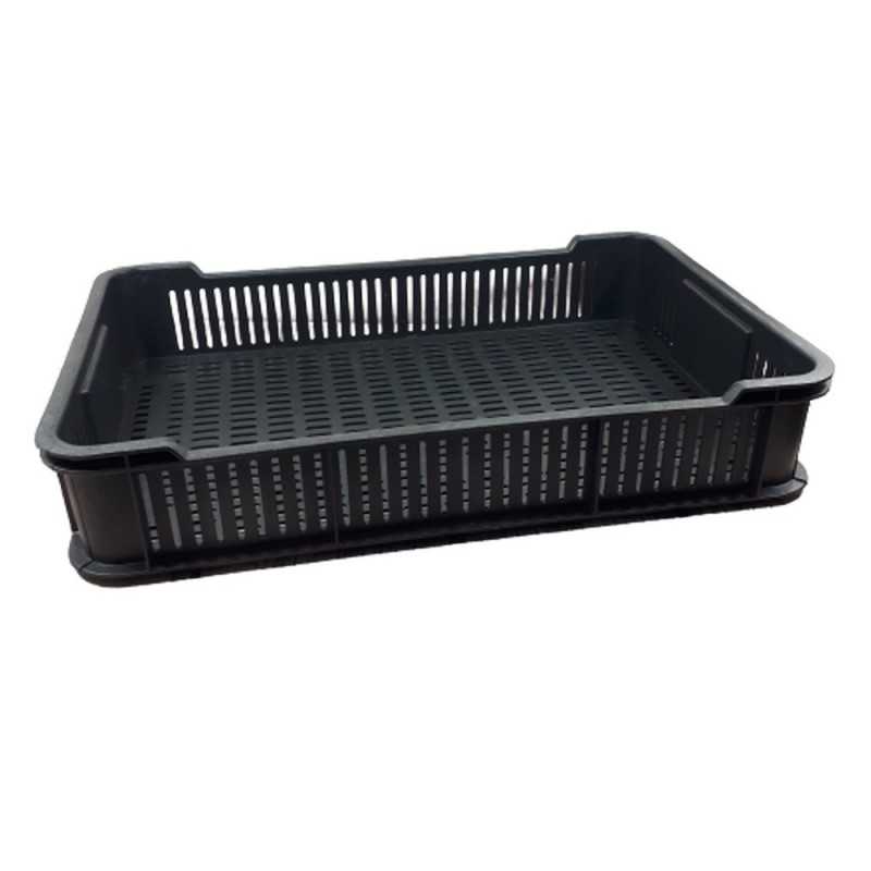 Niska skrzynka plastikowa z otworami 10kg na owoce warzywa