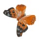 Duże brokatowe motyle ozdobne na klipsie / sztuczny motyl