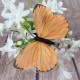 Pomarańczowe sztuczne motyle na klipsie / motyle z klipsem
