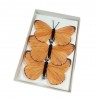Pomarańczowe sztuczne motyle na klipsie / motyle z klipsem