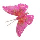 Kolorowe motyle na klipsie / sztuczne motyle dekoracja ozdoba