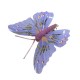 Kolorowe motyle na klipsie / sztuczne motyle dekoracja ozdoba