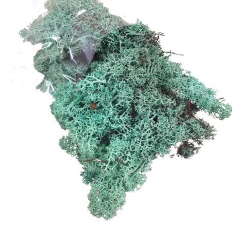 Mech CHROBOTEK RENIFEROWY 50g Pacific Green / mech ozdobny