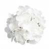Biała hortensja główka wyrobowa / hortensja główka kwiatowa ślub