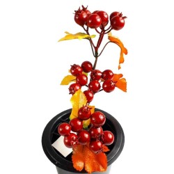Sztuczna gałązka dekoracyjna czerwone kulki jabłuszka / sztuczny głóg jarzębina h 29cm, zdjęcie 5