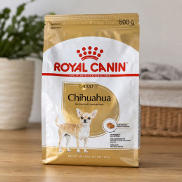 ROYAL CANIN sucha karma dla psa Chihuahua Adult 0,5kg