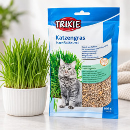 TRIXIE trawa dla kota 100 g, nasiona trawy dla kota