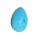 Jajo jajko wykluwające się ZWIERZĘTA