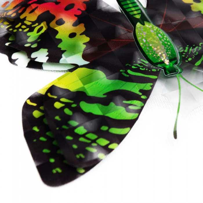 Zielone motylki motyle trójwymiarowe 3D