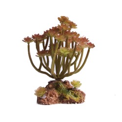 Sztuczna roślina SUKULENT dekoracja do akwarium terrarium