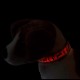 OBROŻA świecąca dla psa kota LED w ŁAPKI
