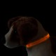 Świecąca OBROŻA dla psa LED - duża - 40 cm