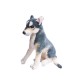 Pluszowy pies OWCZAREK NIEMIECKI przytulanka maskotka dla dziecka