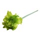 Ekskluzywne kwiaty sztuczne zielony AMARYLIS lateks kwiat cm